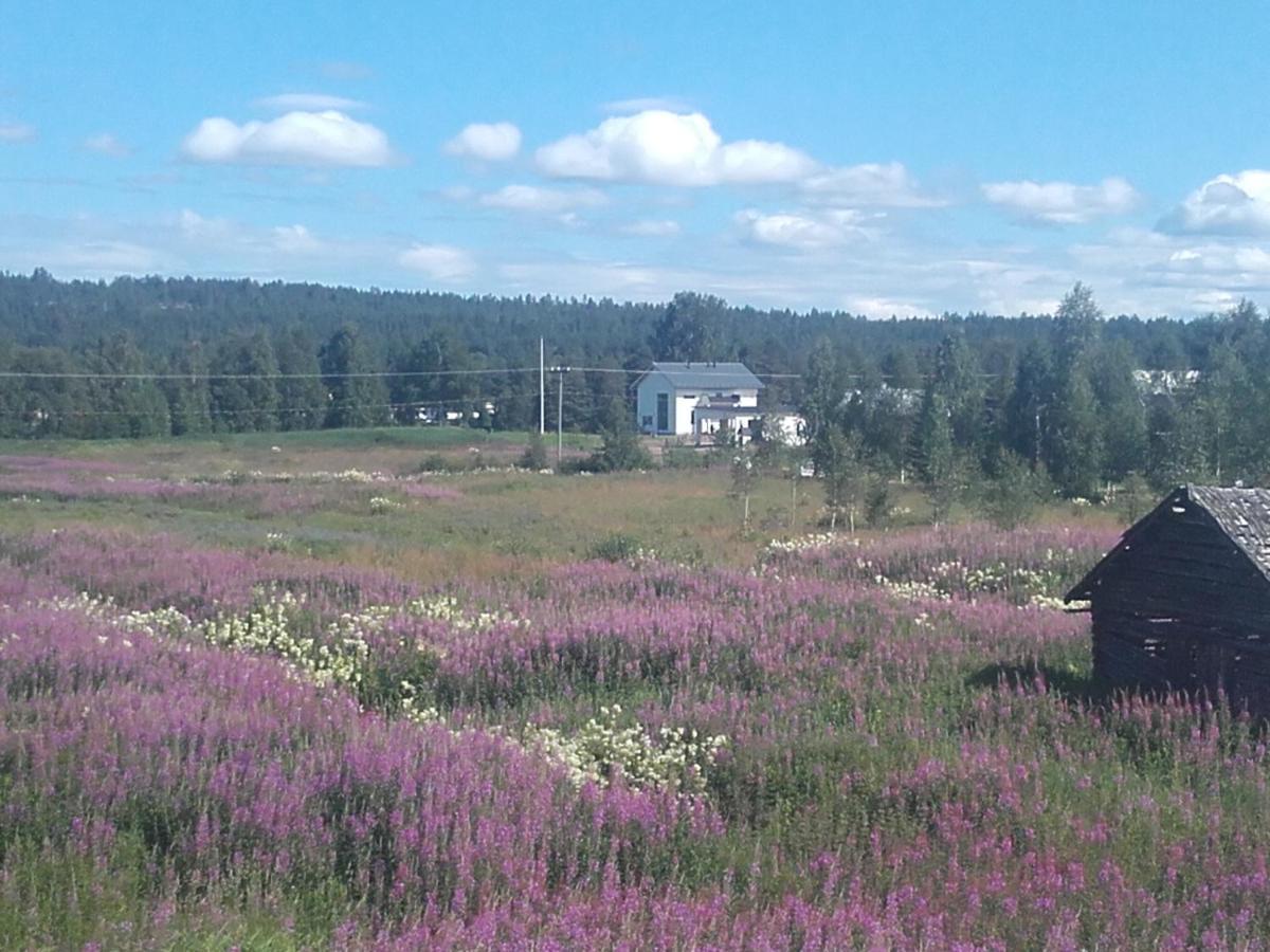Arctic River Chalet Rovaniemi Luaran gambar
