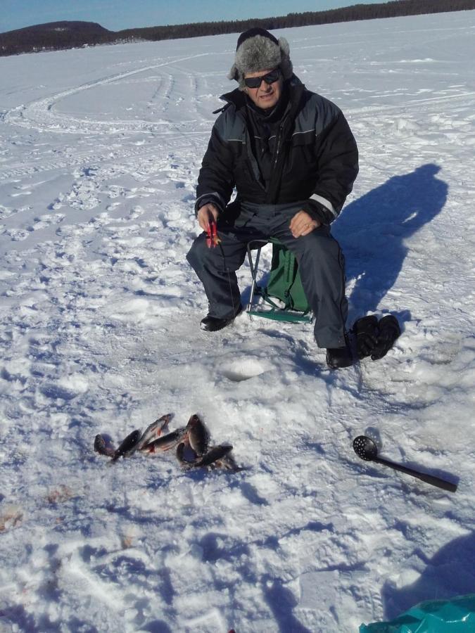 Arctic River Chalet Rovaniemi Luaran gambar