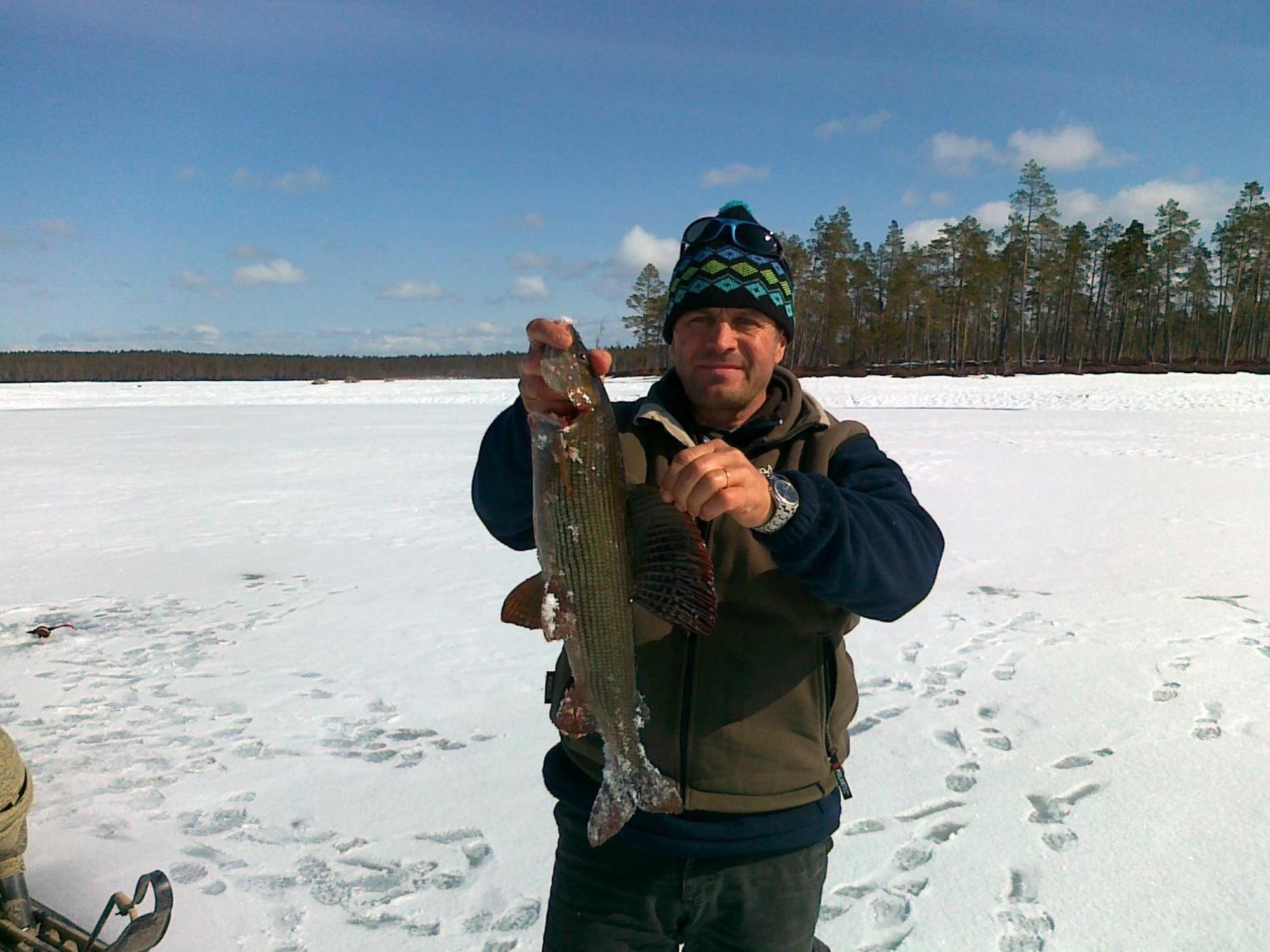 Arctic River Chalet Rovaniemi Luaran gambar
